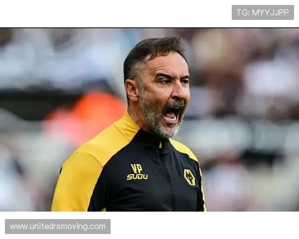 英足总指控狼队主帅佩雷拉涉嫌言语攻击裁判面临纪律处分 英足总指控狼队主帅佩雷拉涉嫌言语攻击裁判面临纪律处分