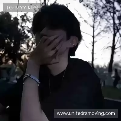 韶靓影